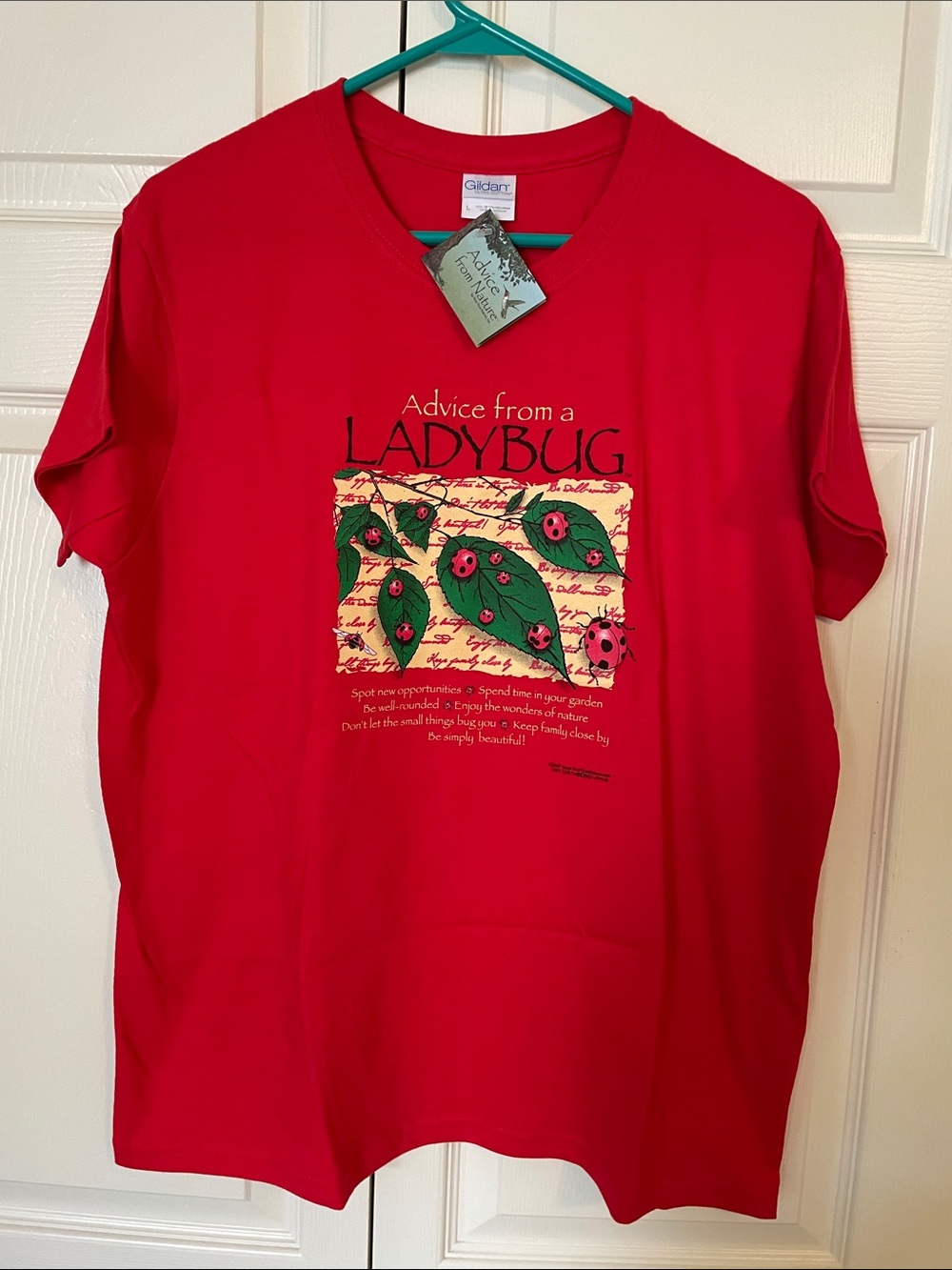 Women’s Ladybug Garden Graphic Tee